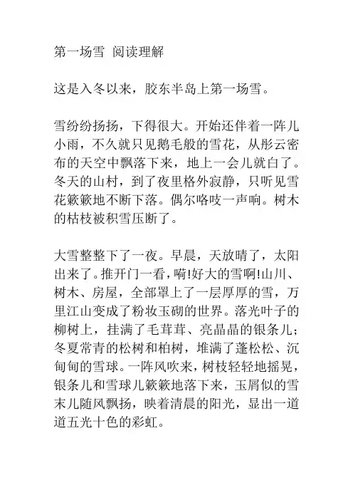 第一场雪 阅读理解