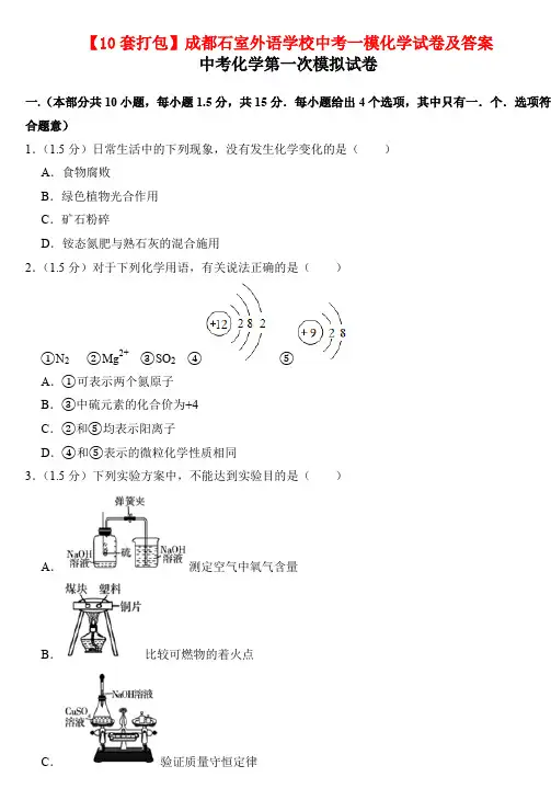 【10套打包】成都石室外语学校中考一模化学试卷及答案