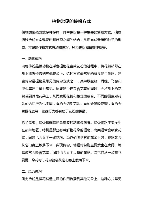 植物常见的传粉方式