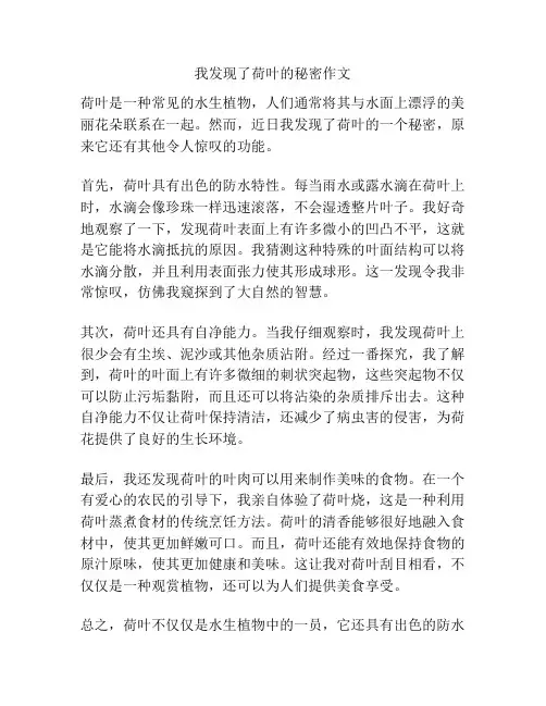 我发现了荷叶的秘密作文