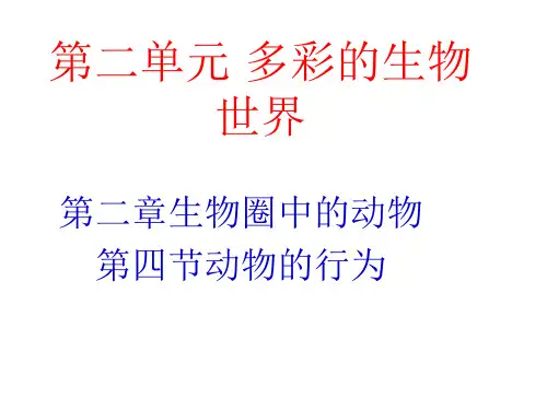 济南版七上第二单元第二章第四节动物的行为(共25张PPT)