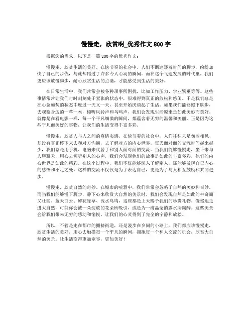 慢慢走,欣赏啊_优秀作文800字