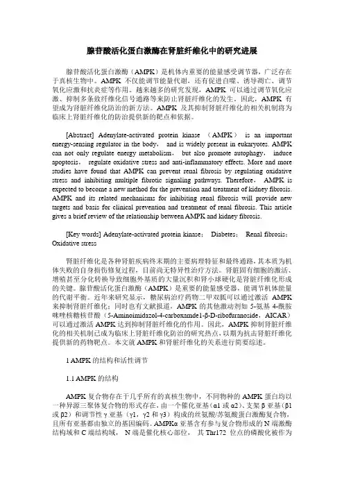 腺苷酸活化蛋白激酶在肾脏纤维化中的研究进展