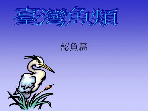 台湾鱼类.
