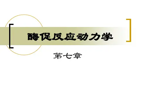 07-酶促反应动力学