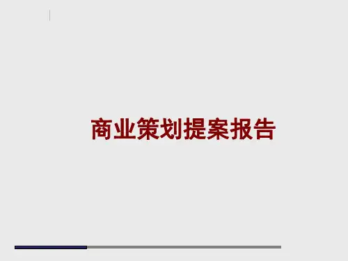 某商业策划提案报告