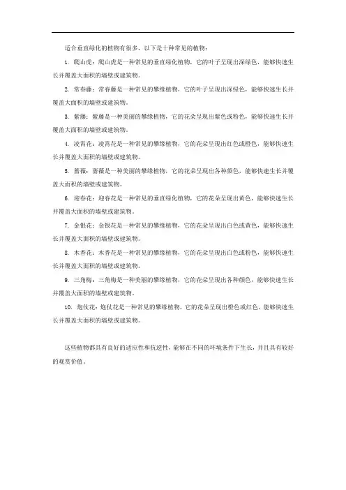 十种适合垂直绿化的植物
