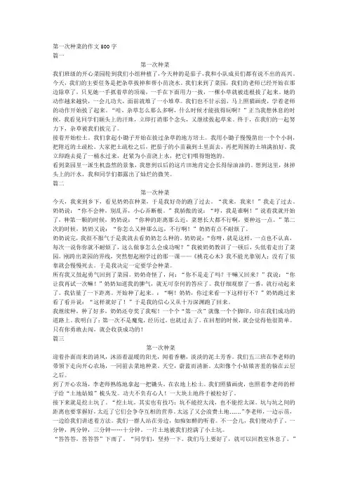 第一次种菜的作文500字