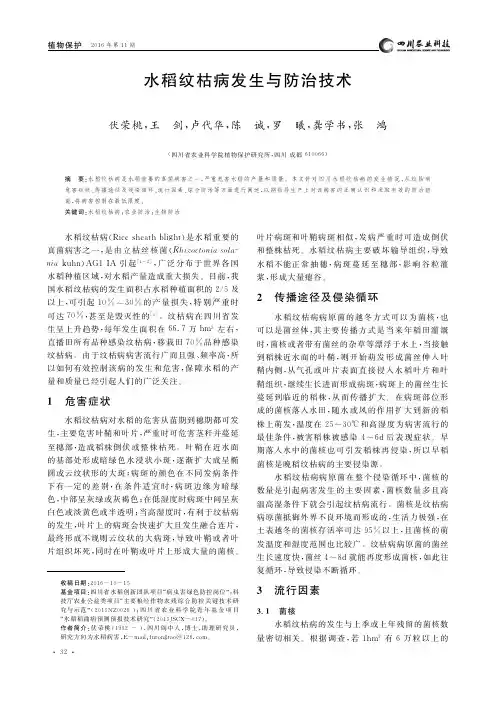 水稻纹枯病发生与防治技术