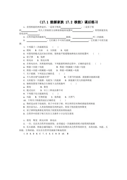 人教版-物理-九年级全一册-(能源家族核能)课后练习