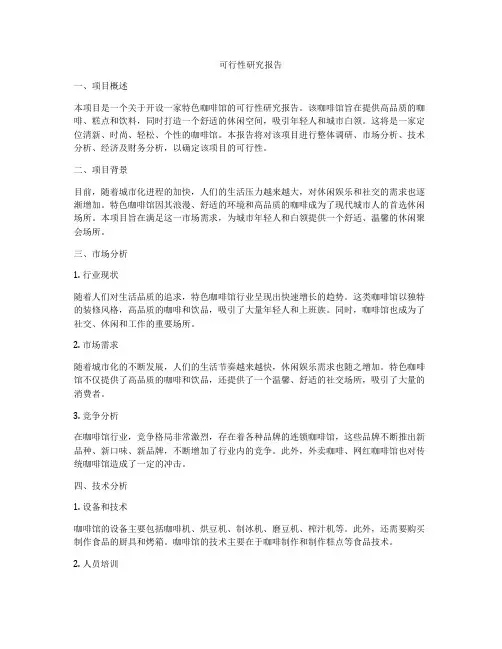 可行性研究报告  