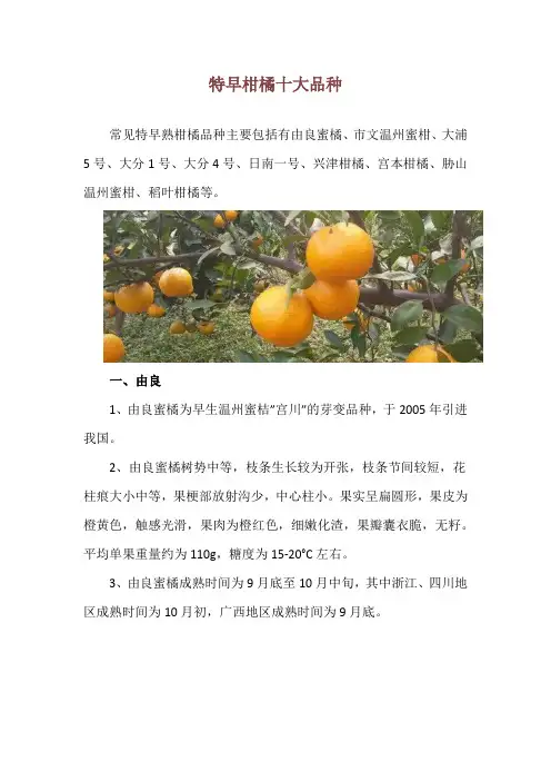 特早柑橘十大品种