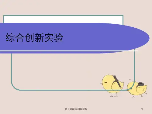 第十章综合创新实验
