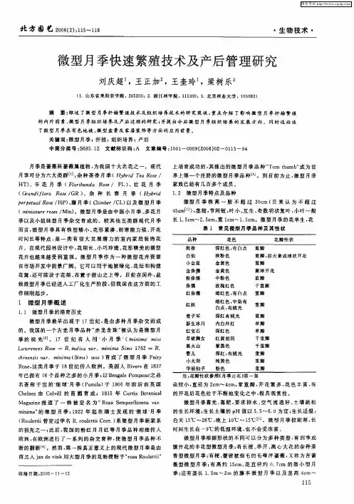 微型月季快速繁殖技术及产后管理研究