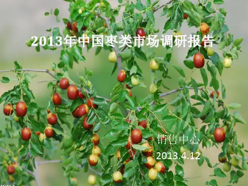 中国大枣调研报告精品PPT课件