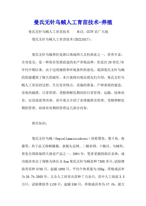 曼氏无针乌贼人工育苗技术[农广天地] - 养殖视频