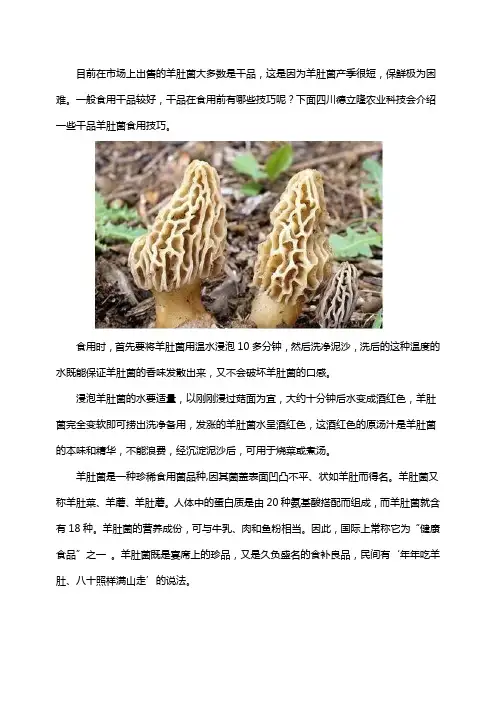 干羊肚菌如何食用