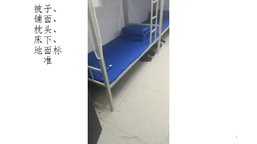 宿舍标准教程ppt课件
