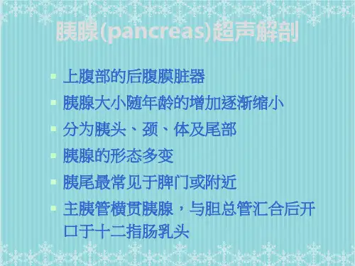 胰腺疾病超声诊断课件