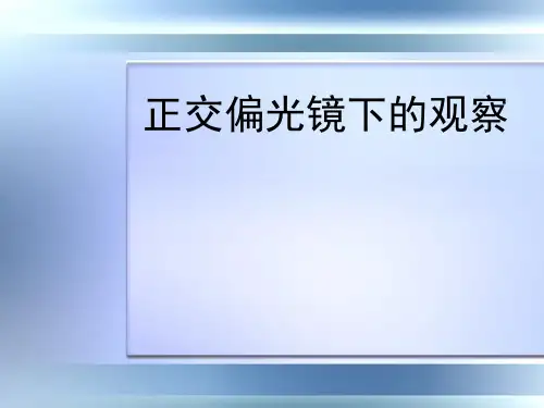 正交偏光镜下的观察