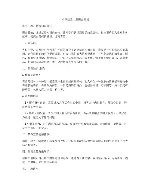 小学禁毒主题班会笔记