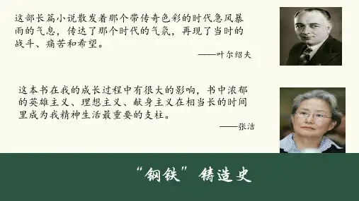 《钢铁是怎样炼成的》ppt课件