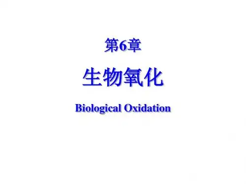 生物化学课件 生物氧化