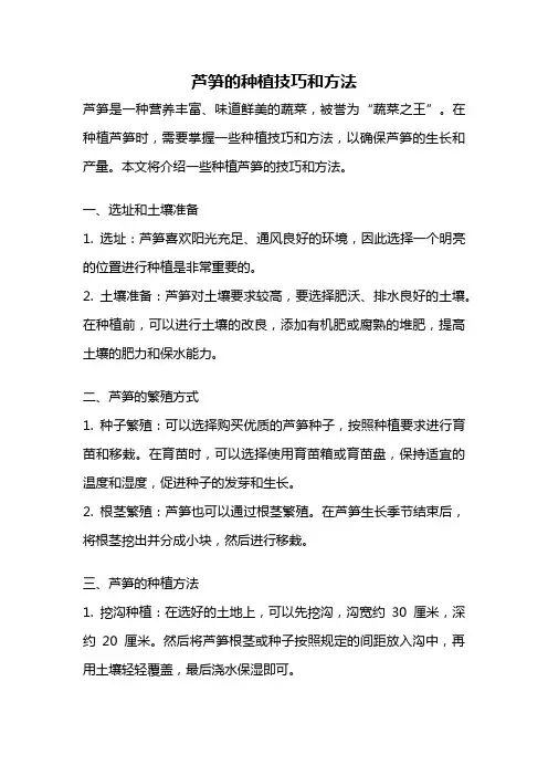 芦笋的种植技巧和方法