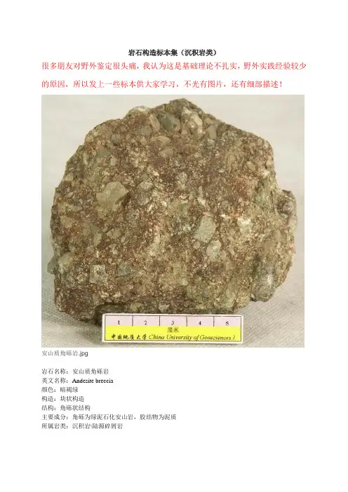岩石种类