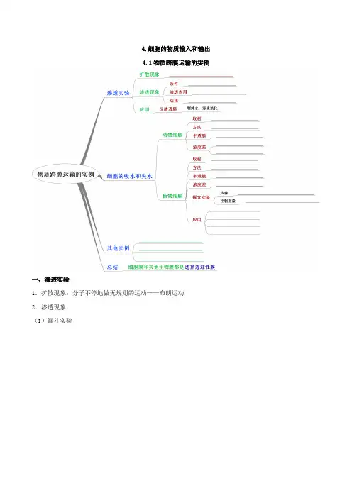 高中生物思维导图 细胞的物质输入和输出 Word版含解析