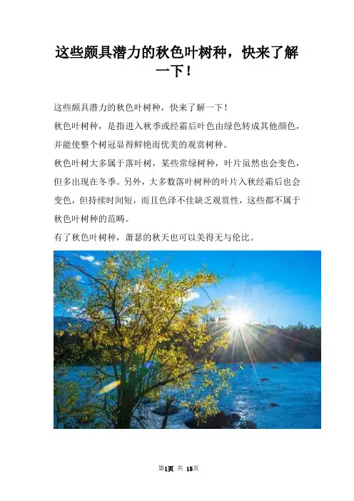 这些颇具潜力的秋色叶树种，快来了解一下！
