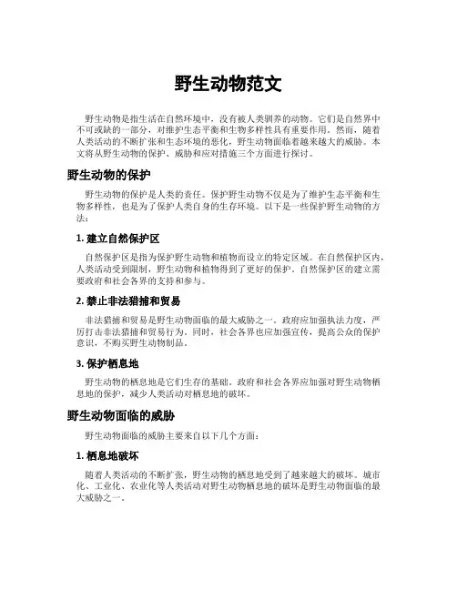 野生动物范文