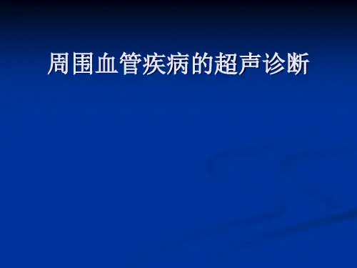 周围血管超声诊断