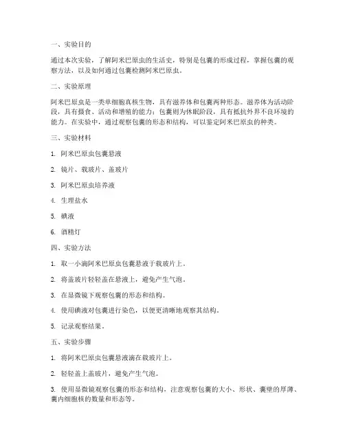 阿米巴原虫包囊实验报告