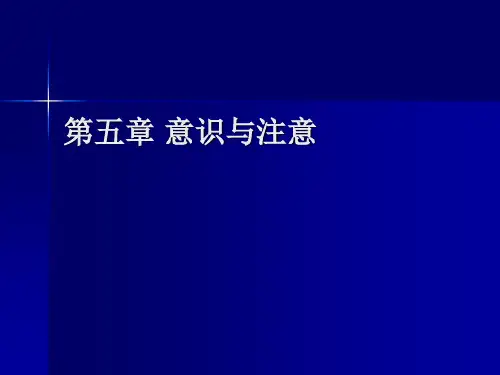 五意识 PPT课件