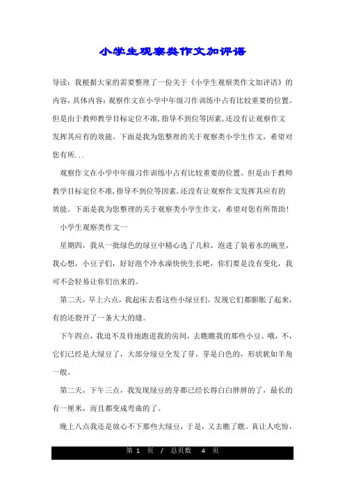 小学生观察类作文加评语