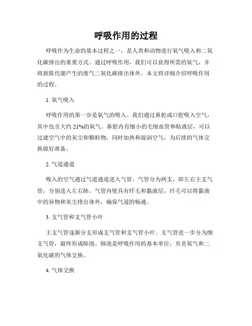 呼吸作用的过程