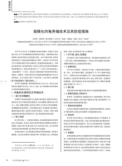 规模化肉兔养殖技术及其防疫措施