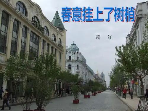 春意挂上了树梢(课件)
