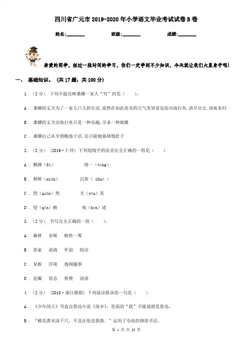 四川省广元市2019-2020年小学语文毕业考试试卷B卷