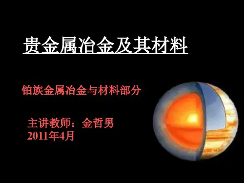 铂族金属冶金与材料