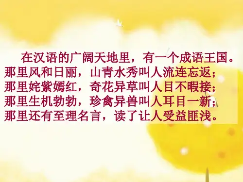 小升初_走进成语世界