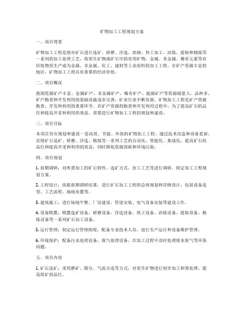 矿物加工工程规划方案