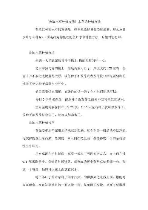 鱼缸水草种植方法水草的种植方法