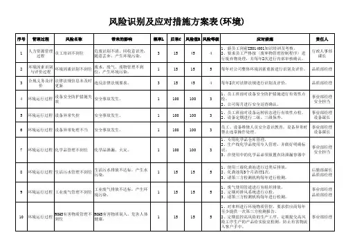 风险识别及应对措施方案表