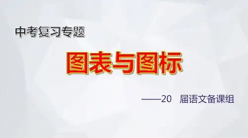 中考语文《图表与图标》专题复习  课件