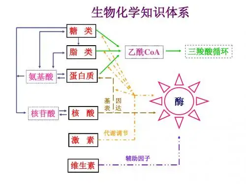 南开大学：生化课件02蛋白质化学