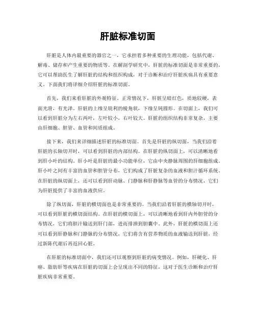 肝脏标准切面