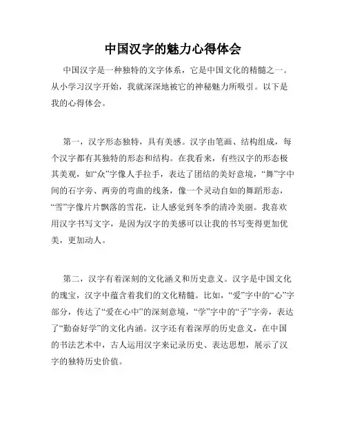 中国汉字的魅力心得体会