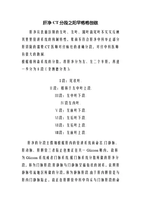 肝脏CT分段(图文)
